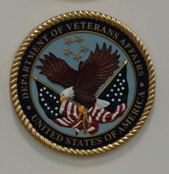 Department of Veteran Affairs